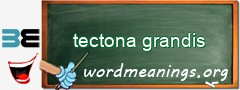 WordMeaning blackboard for tectona grandis